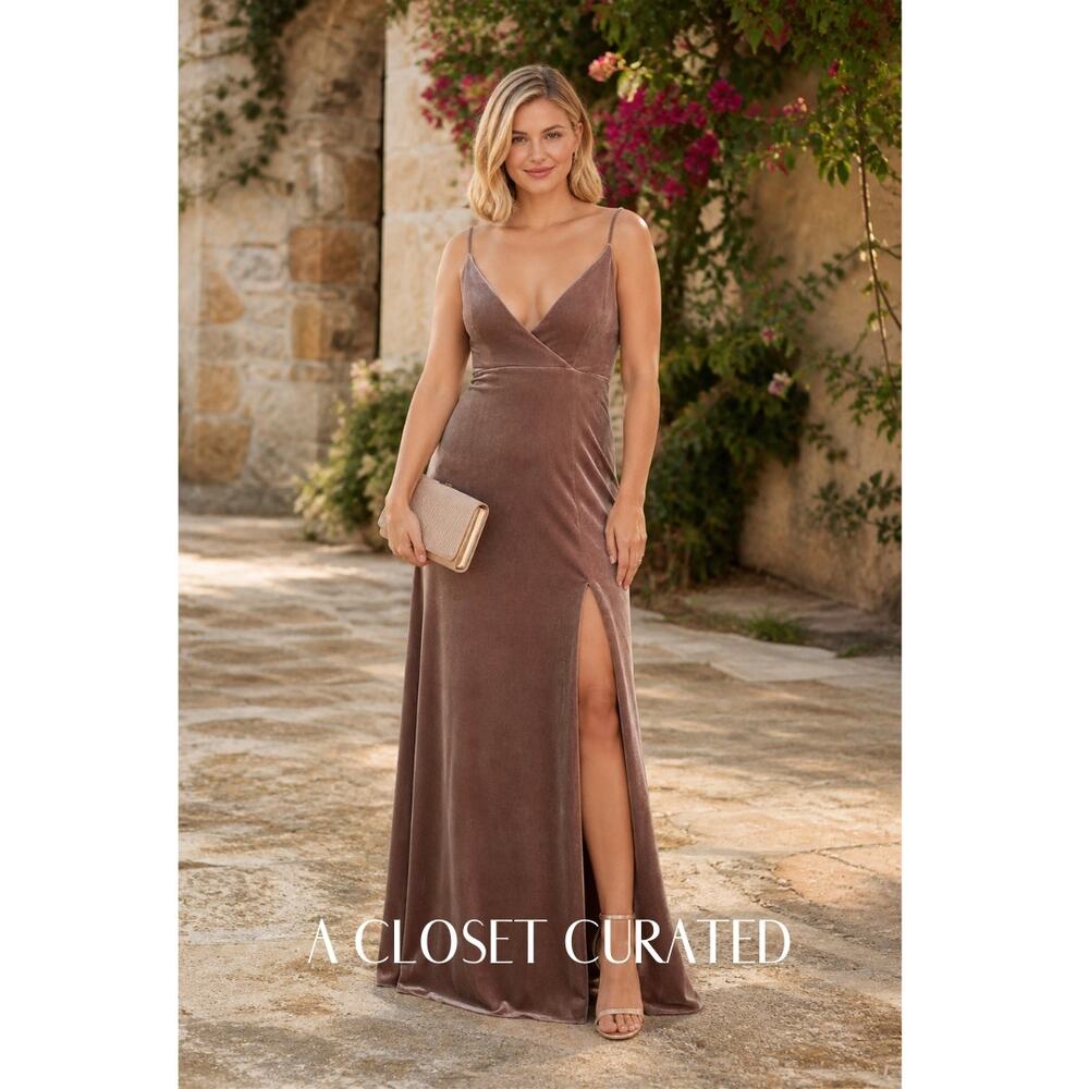 Watters Ford Velvet Maxi Dress Large Pink NWT Style 9302